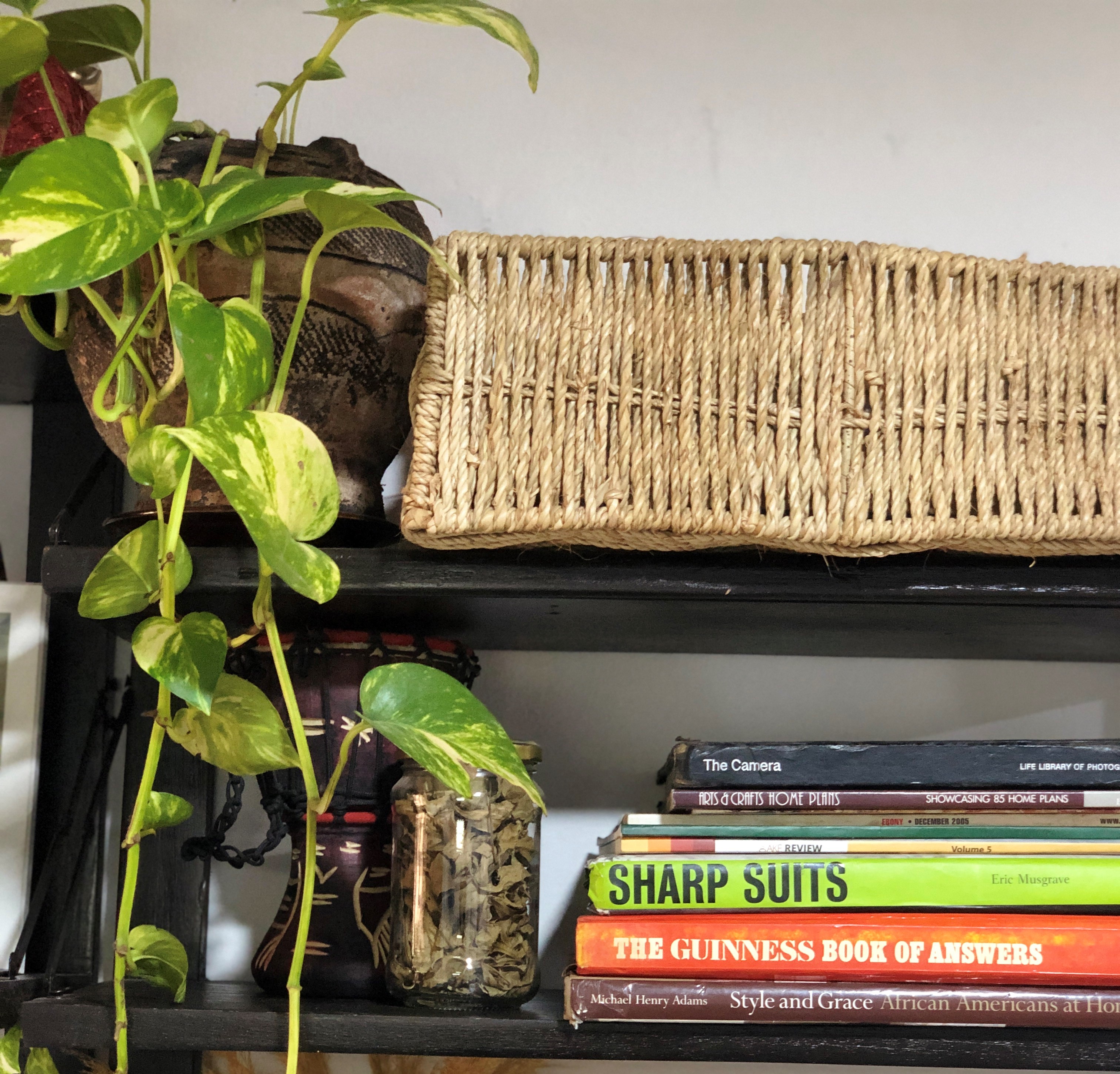 Plants styling open shelving